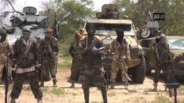 •Boko Haram terrorists