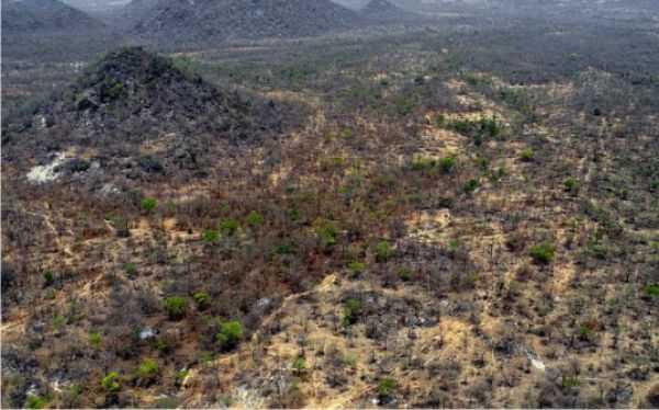 •Aerial view of Sambisa Forest
