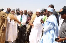 L-R: Former Governor of Kebbi State, Senator Adamu Aliero; CBN Governor Godwin Emefiele; Minister of Agriculture, Chief Audu Ogbe; and Kebbi State Governor, Alhaji Atiku Bagudu, during the Assessment Tour of ANCHOR Borrowers Programmes in Kebbi State, on April 23, 2016.