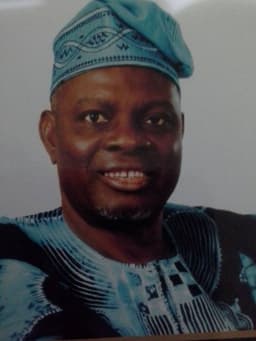 DR ADEBAYO ADETUNJI AND CARNIVAL IN IBADAN