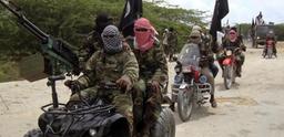 Boko Haram kills 2, abducts 7 in Borno