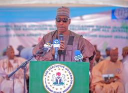 Jailed terrorists among 281 prisoners who escaped in Borno — Governor Zulum