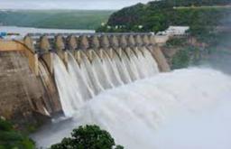 Flood Alert: The 11 Nigerian states under threat as Cameroon moves to release water from dam