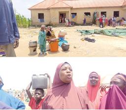 Maiduguri flood: Victims in dilemma after discharge from camps