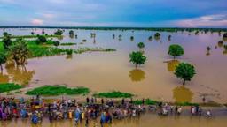 Lagdo Dam: Taraba residents flee as water submerges farmlands