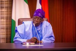 I didn’t come to look for money, I came to work — Tinubu