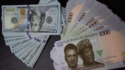Naira hits N1,667/$ after MPC’s surprise rate hike