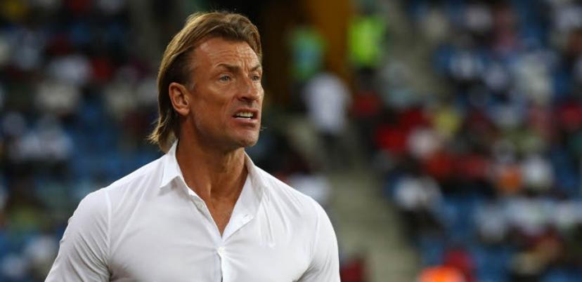 Why I rejected Super Eagles job — Herve Renard