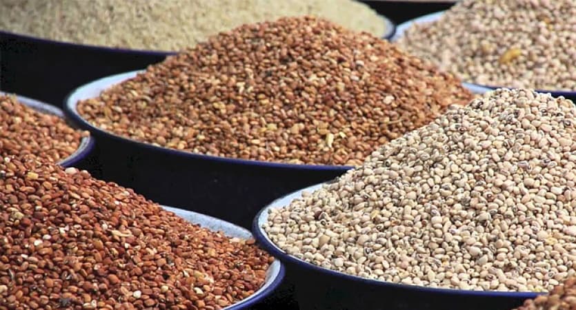 Food Inflation: Beans now out of reach, says Rewane