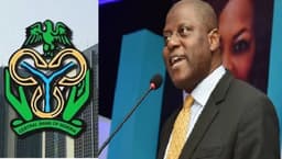 CBN introduces electronic foreign exchange matching system to curb speculation
