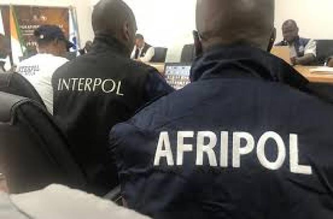 Interpol to investigate 46 unresolved women-related murder cases