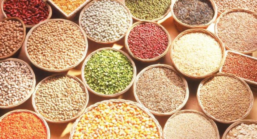 Grains prices drop in Jos markets as supply increases