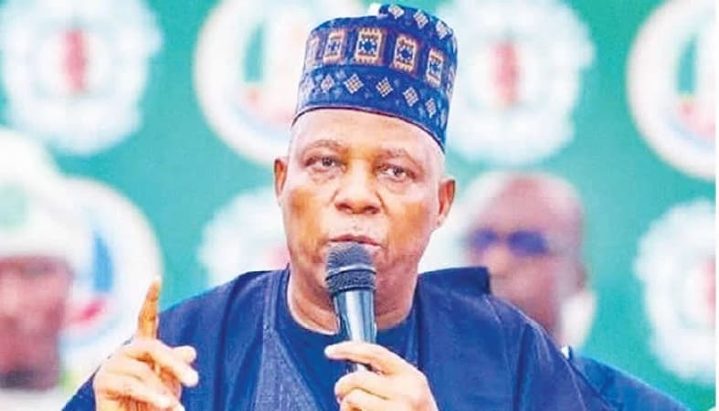 Out-of- school children: A threat to Nigeria’s future — Shettima