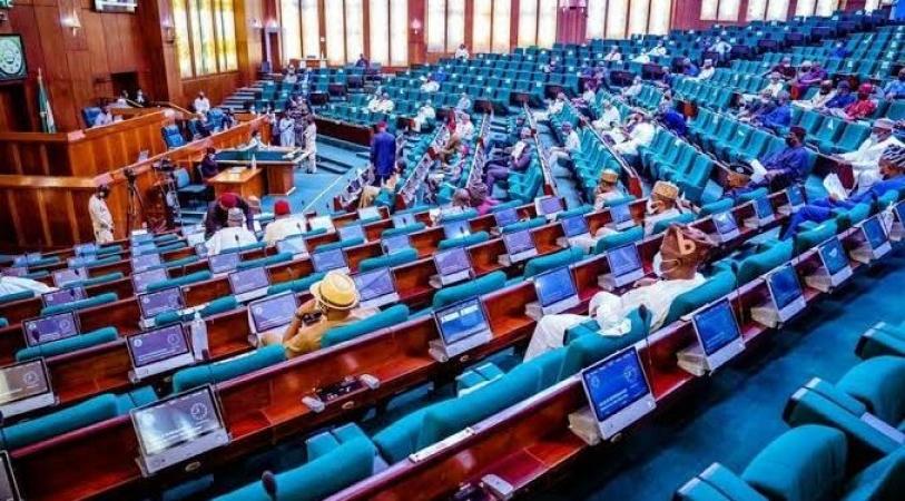 Reps call for immediate suspension of new tax initiatives on Nigerians 