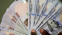 FX crisis puts Nigerian economy on investors’ ghost mode