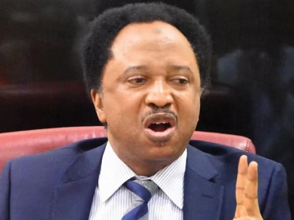  ?Mummy, leave me alone?, Shehu Sani replies El-Rufai?s wife 