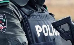 Police smash armed robbery gang in Imo