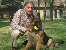 Billionaire businessman wills ?91 million fortune to his dog 