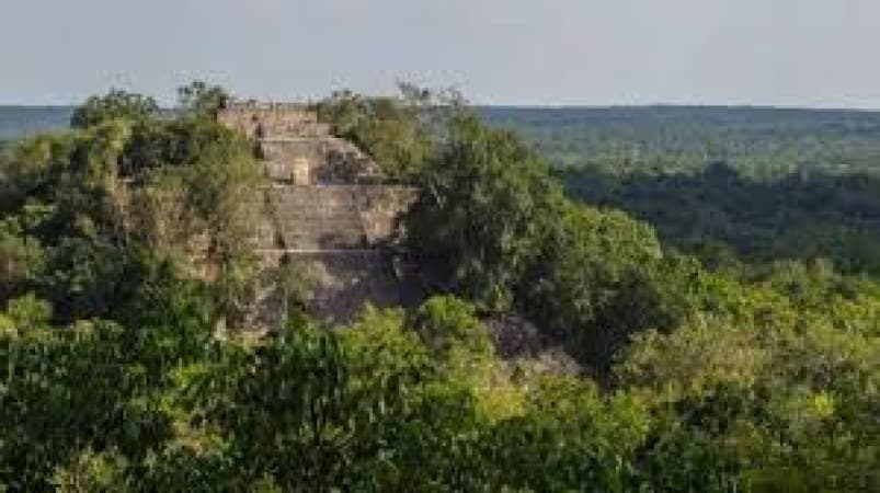 PhD student finds lost city in Mexico jungle by accident