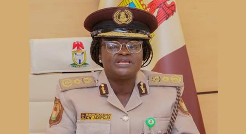 Nigerians in Canada, UK, USA, others to enjoy digital passport renewal from November 1 — NIS