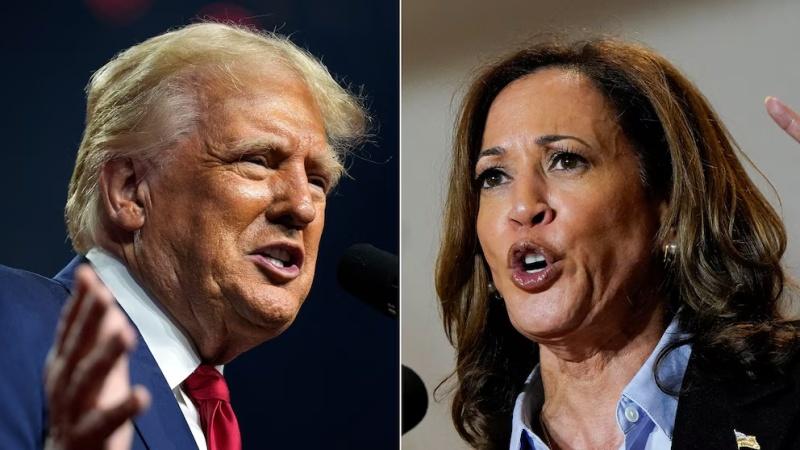 U.S presidential poll: Why Americans chose Trump over Harris