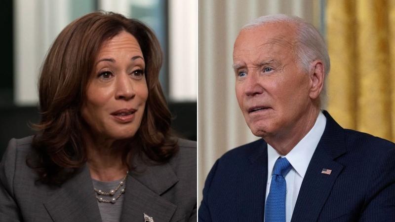 Democrats blame Biden, campaign strategy, others for Harris? defeat to Trump