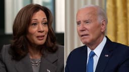 Democrats blame Biden, campaign strategy, others for Harris? defeat to Trump