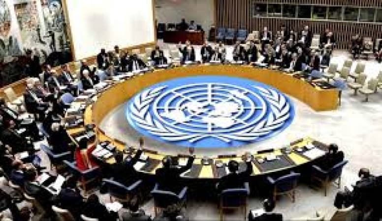 UN Security Council: Nigeria gets Cote D?Ivoire, Gambia, other countries? backing 