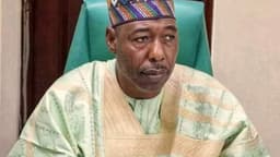 Foreign NGOs scale down operations in Borno, shift to North West
