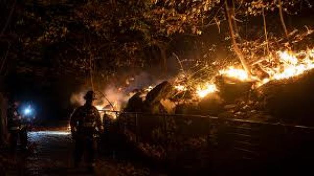 Teenage park ranger dies while fighting wildfires in US