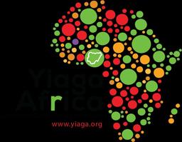 Ondo guber: Ballots were sold for N5,000, N20,000 ? Yiaga Africa 
