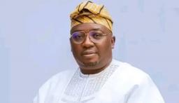 2023 Electricity Act: Ten states join electricity market to address power challenges — Adelabu