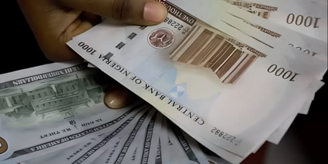 Naira plunge stalls FG, states? capital projects, spikes cost by 75pct