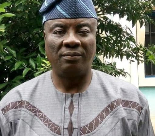 Why former govs in National Assembly often become liabilities — Ex-Reps member