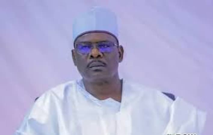 Rush to pass tax reform bills suspicious — Ndume
