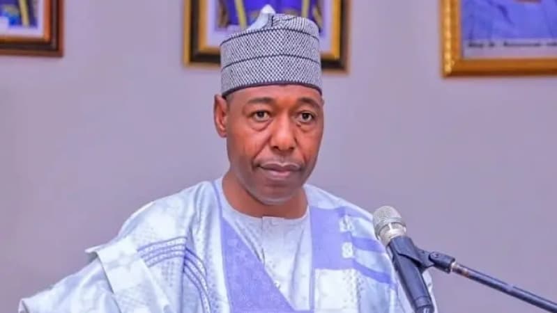 We won’t be able to pay salaries if tax reform bills scale through — Gov Zulum