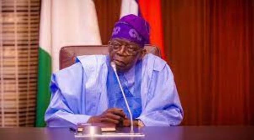 We need homegrown solutions to Nigeria?s problems ? Tinubu 