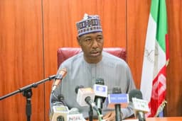Those profiting from Boko Haram insurgency don?t want it to end ? Zulum