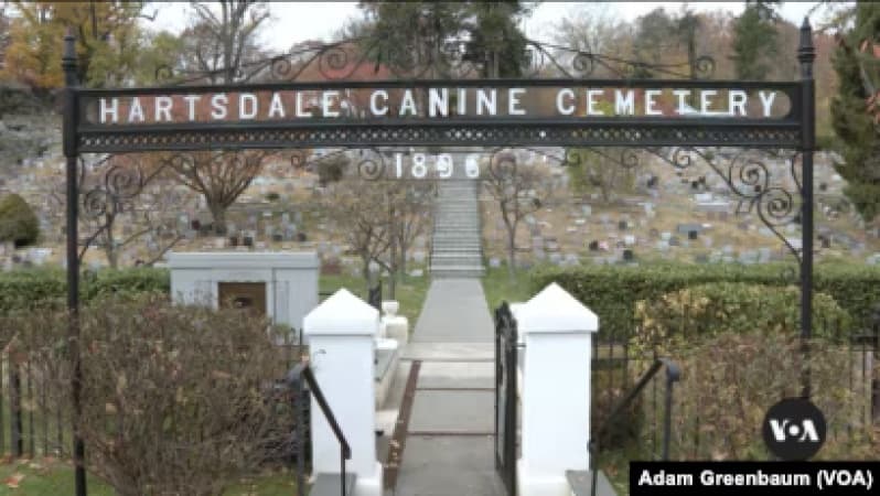 SPECIAL REPORT: Inside oldest US pet cemetery where Americans bury their dead dogs, others