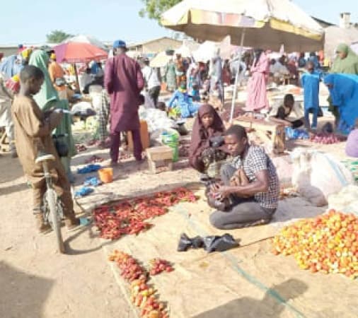C & C: Bauchi’s 30-year-old market where commodities are cheap 