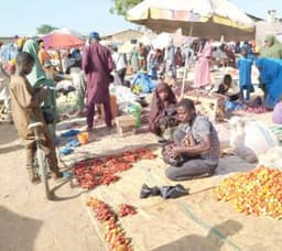 C & C: Bauchi’s 30-year-old market where commodities are cheap 