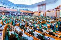 Reps to present N704.91m half-year salaries donation to Tinubu 