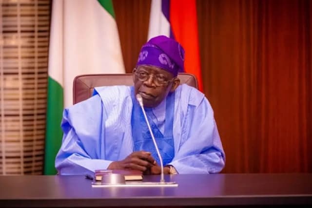 Tinubu advises Nigerians on how to manage electricity bill