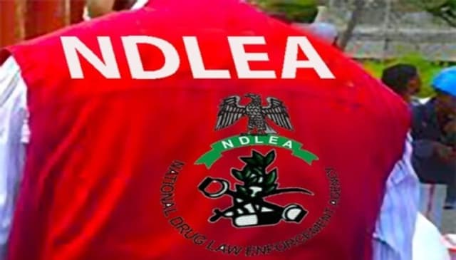 Sales rep. slams N500m defamation case against NDLEA