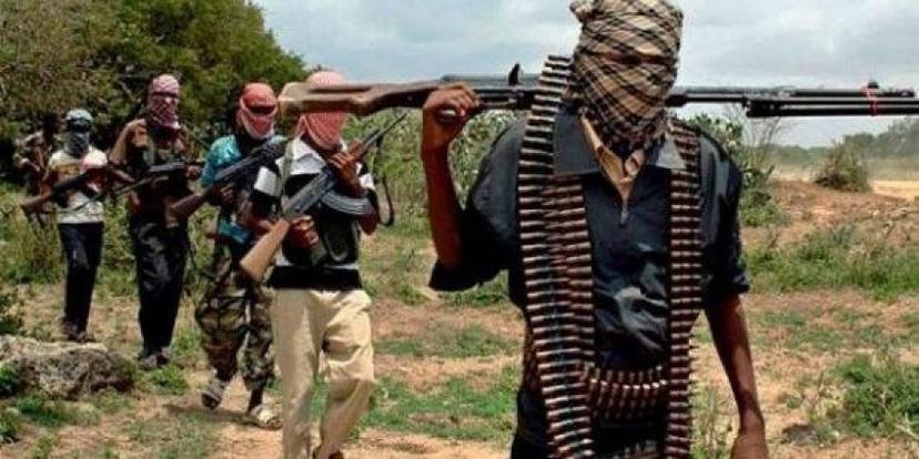 Gunmen attack herders, kill cattle in Plateau