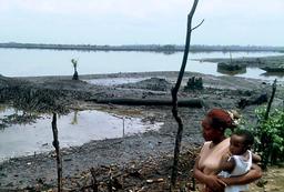 Ogoni Cleanup: Leaked UN Report indicts HYPREP