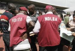 NDLEA arrests six foreign nationals for drug offences