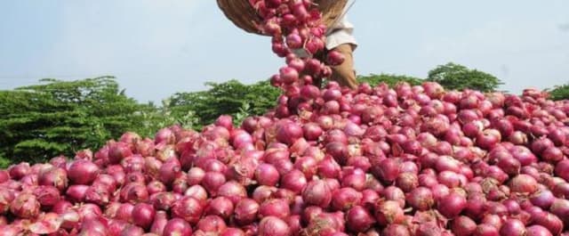  Farmers smile to the bank as onion price jumps 108 per cent