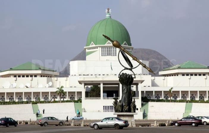 NASS criticises low implementation of 2024 capital budget 