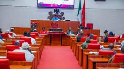 Senate panel orders NOA, NAN to rework 2025 budget proposals